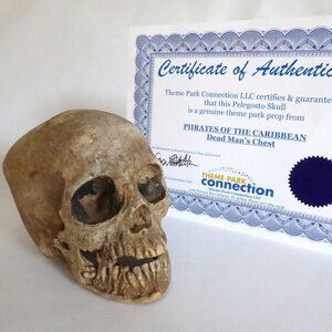 2006 DISNEY PIRATES OF THE CARIBBEAN OFFICIAL MOVIE FILM PROP PELEGOSTO SKULL